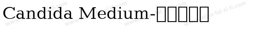 Candida Medium字体转换